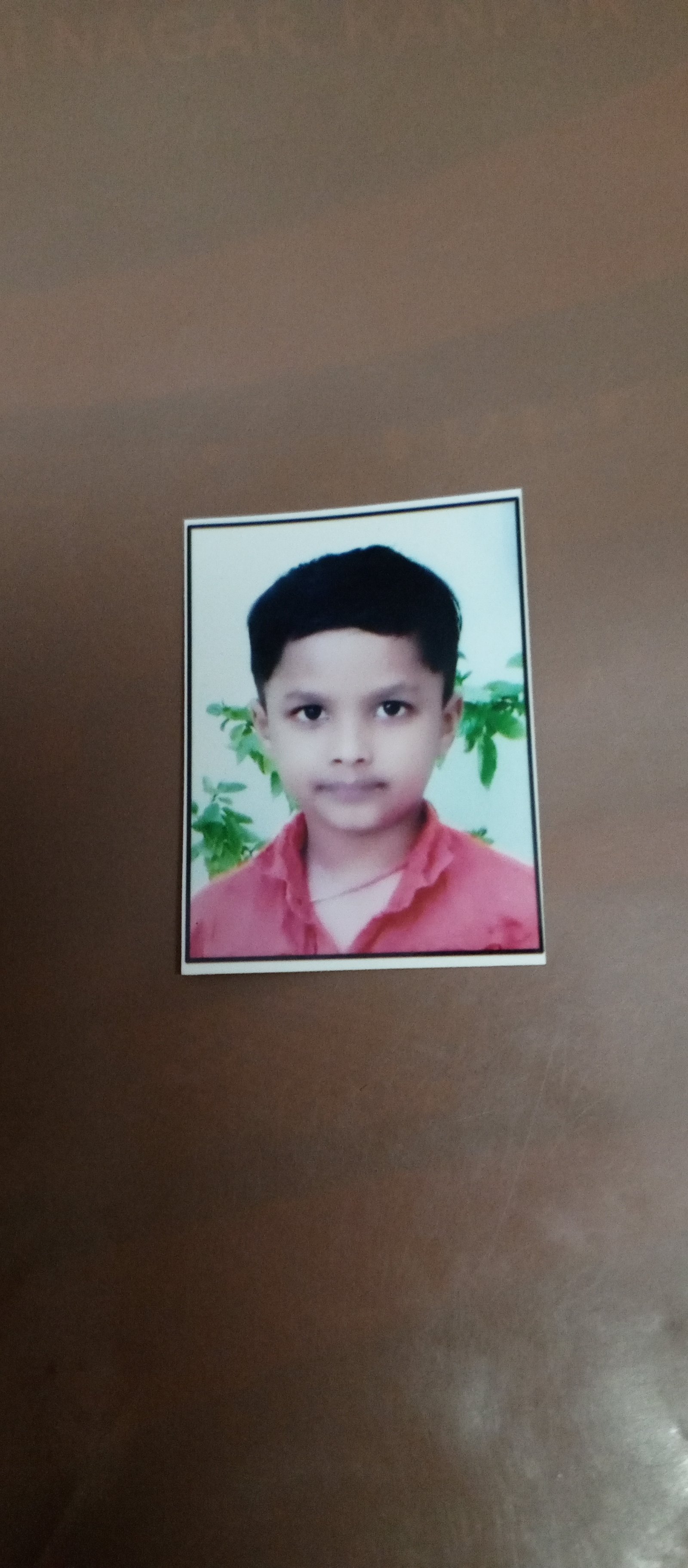 Passport Photo