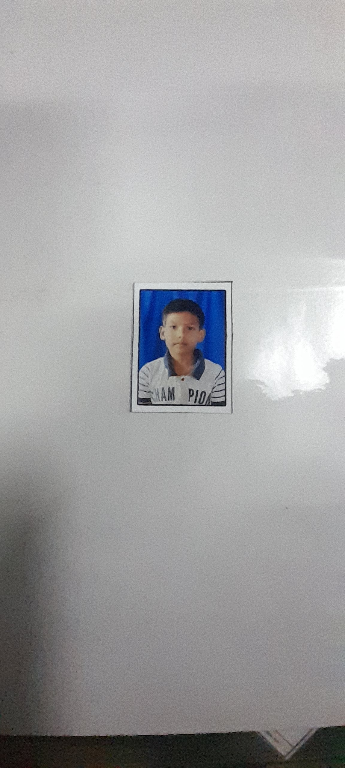 Passport Photo