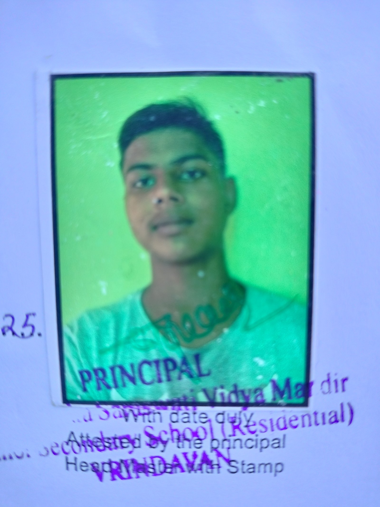 Passport Photo