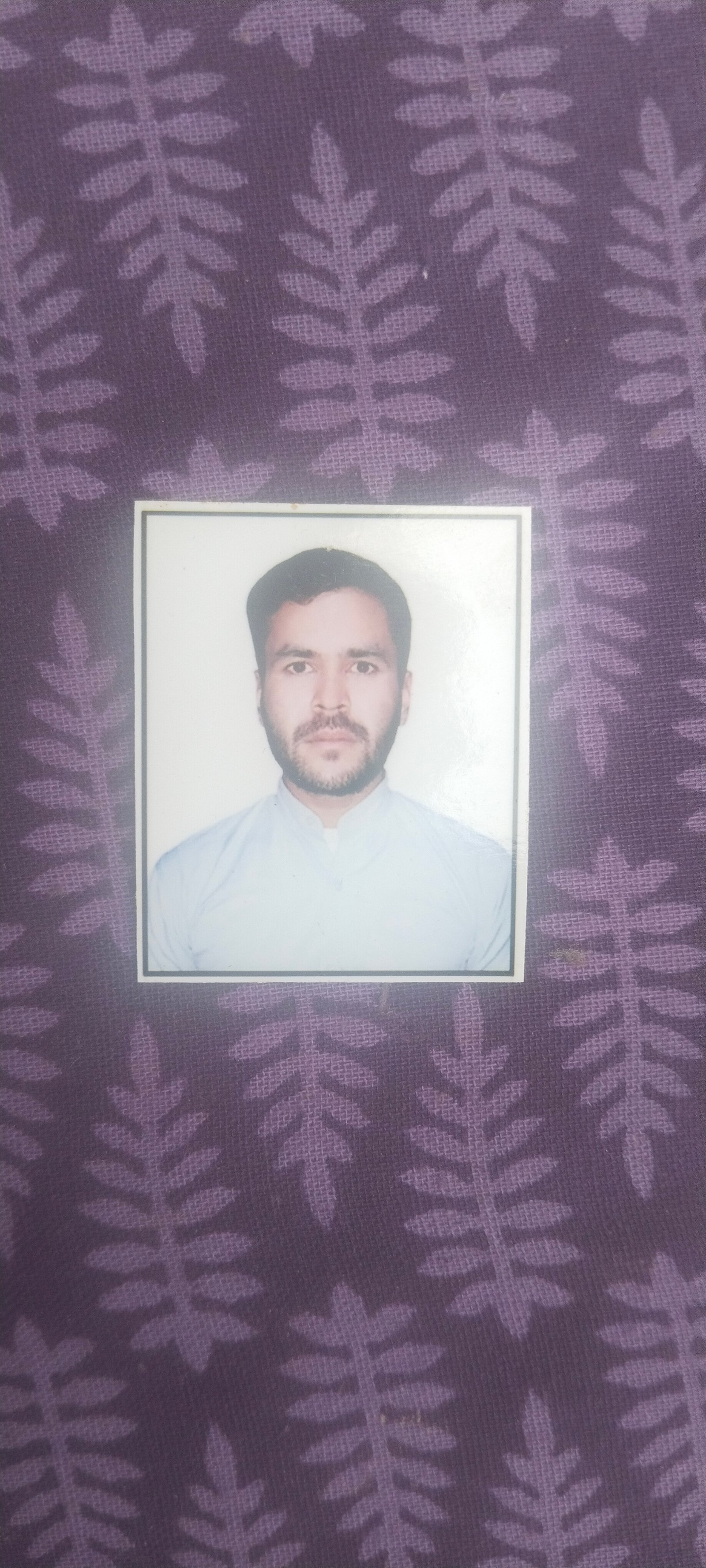 Passport Photo
